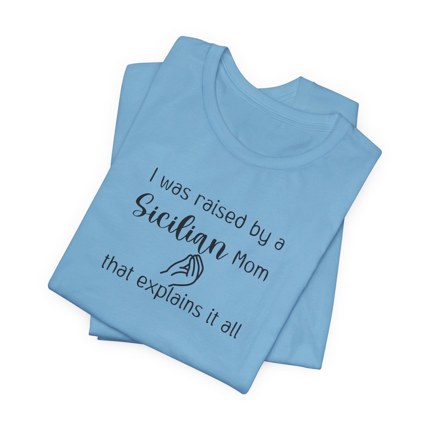 Humorous Adult T-Shirt 